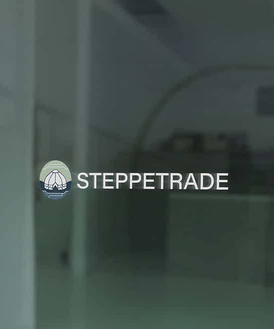 Логотип Steppetrade на стеклянной стене, мокап